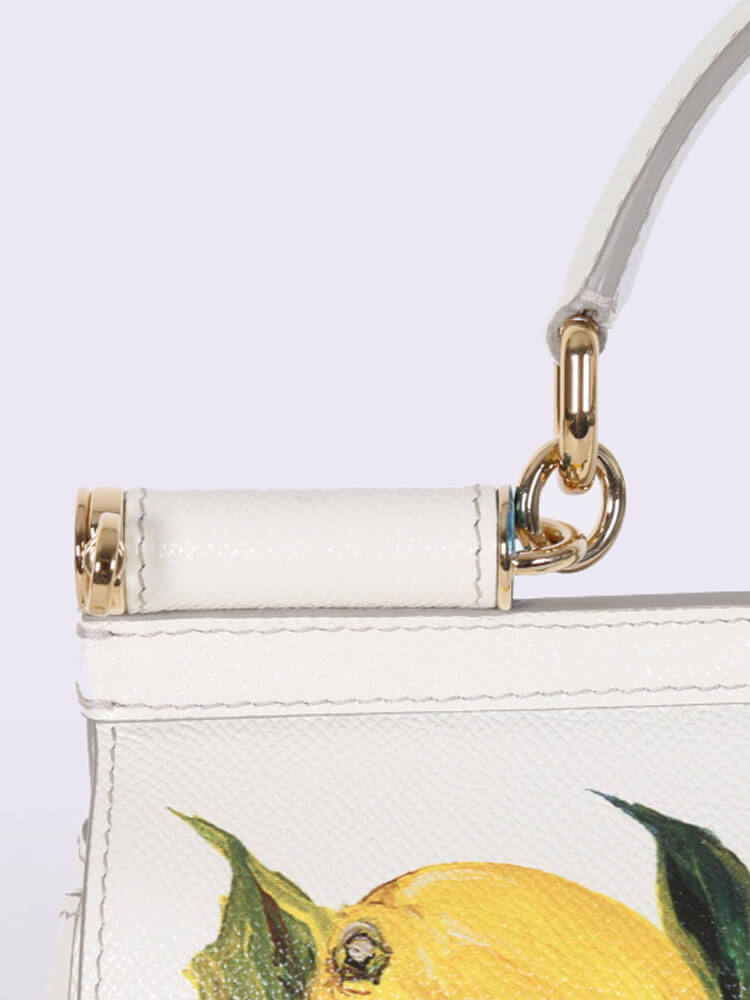 Fameleon  Dolce & Gabbana Lemon Sicily Bag