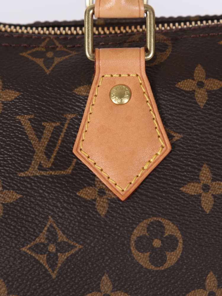 Lexica - A luxury, color full, Louis Vuitton keepall in the shape of a  pelican