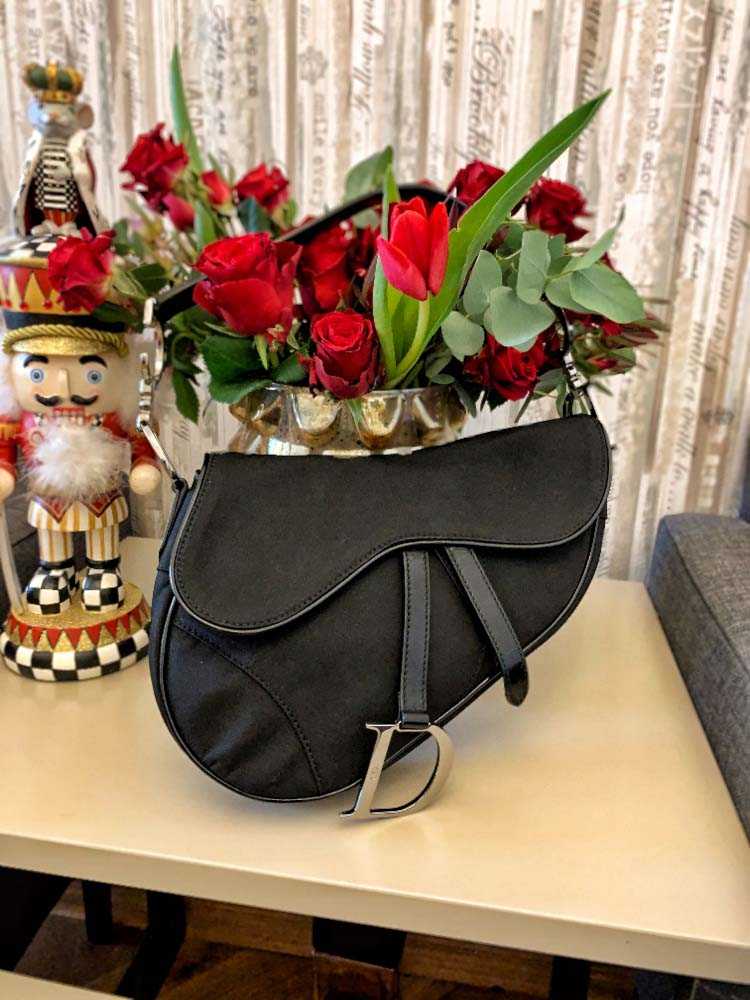 dior saddle nylon