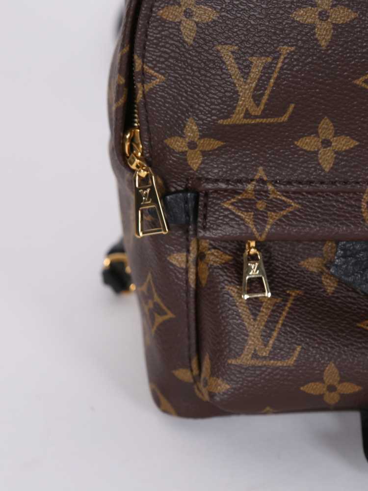 Louis Vuitton Palm Springs Mini - Monogram, Luxury, Bags & Wallets