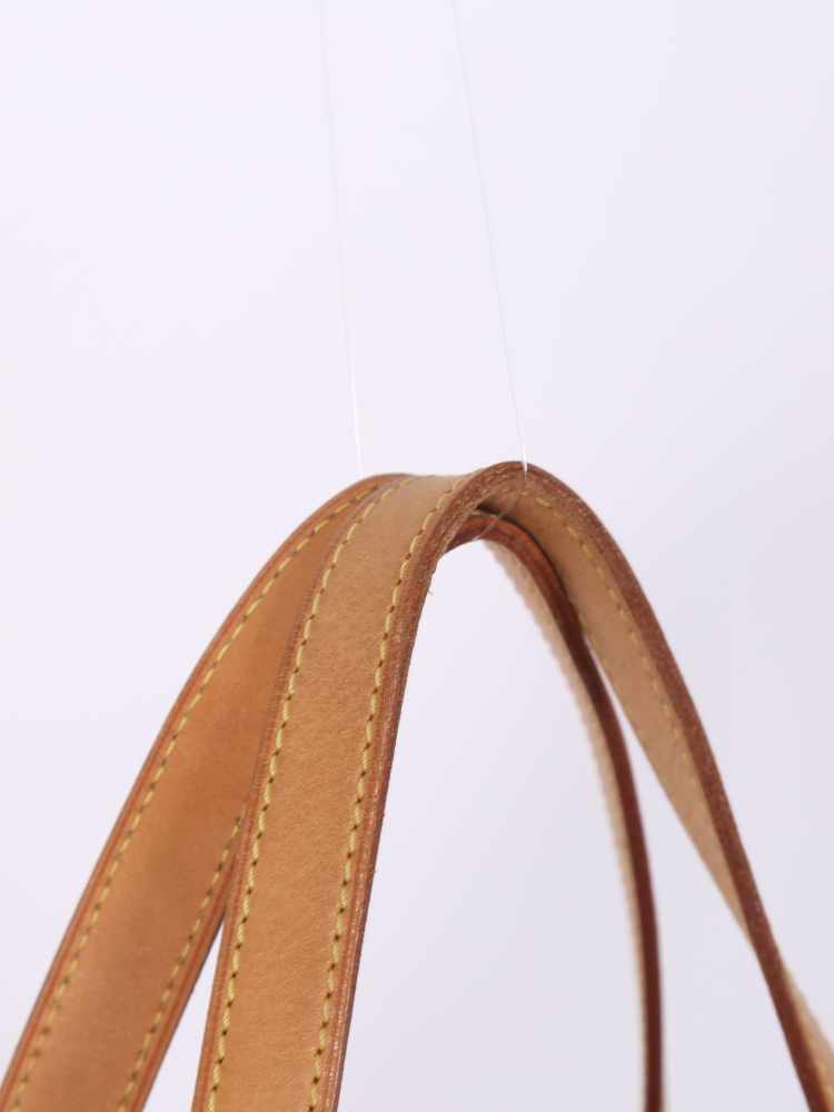 Louis Vuitton Monogram Sac Baxter PM Dog Carrier Bag ○ Labellov