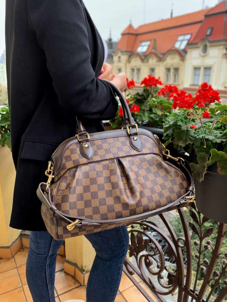 Louis Vuitton Trevi PM Damier Ebene Canvas Bag