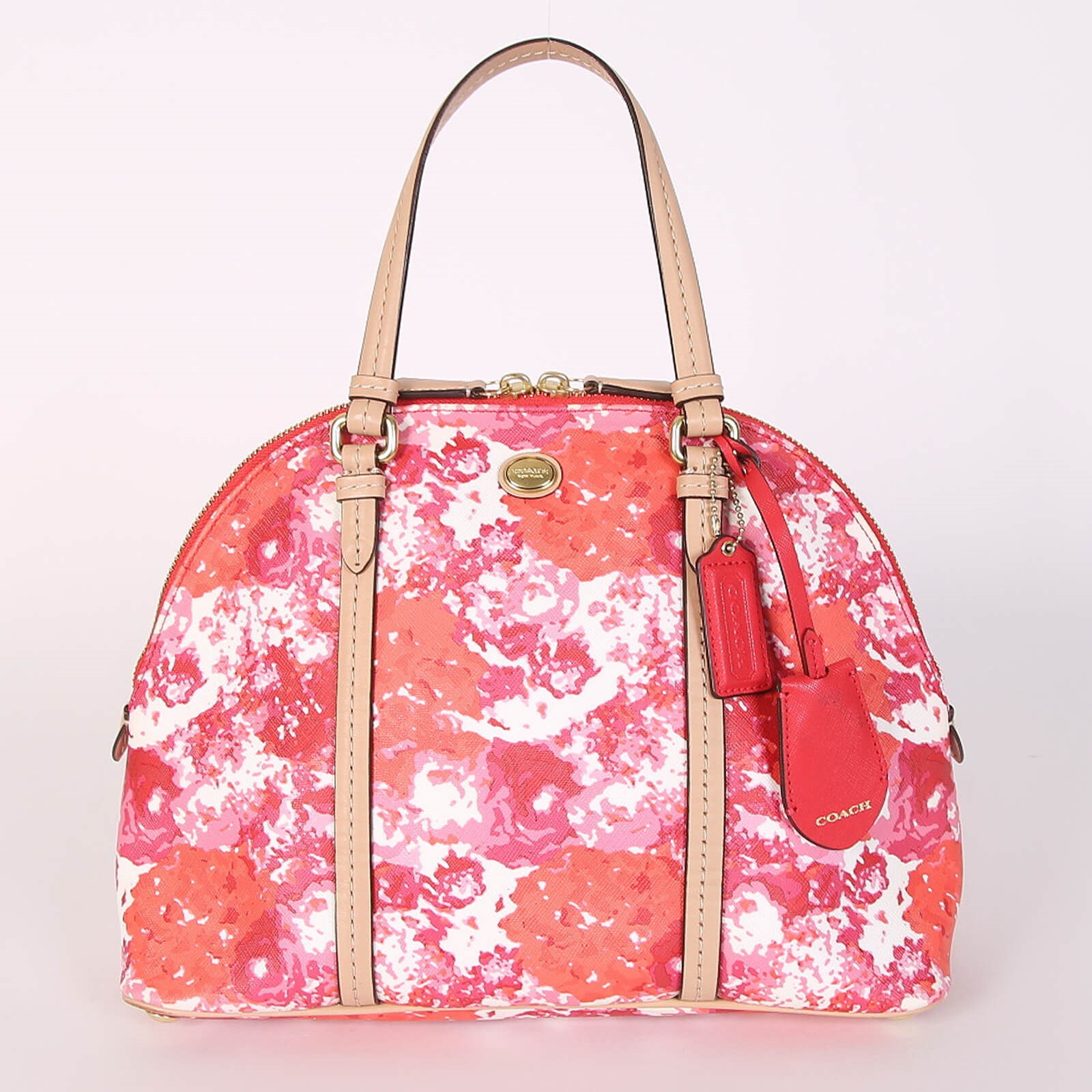 Coach Dome store Satchel